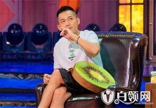 苏醒娱乐爆料视频最新,揭秘娱乐圈幕后真相  第1张